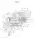 Fig. 08 - High-pressure fuel supply pump