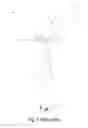 Fig. 02 - Rotor blade replacement system