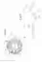 Fig. 07 - SEQUENTIAL GEARBOX