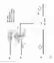 Fig. 10 - Solenoid valve with manual override functionality that has cooperating latch and release handles