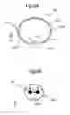 Fig. 10 - ARRAY COIL AND MAGNETIC RESONANCE IMAGING APPARATUS