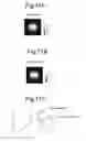 Fig. 12 - ARRAY COIL AND MAGNETIC RESONANCE IMAGING APPARATUS