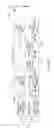 Fig. 13 - Method and apparatus for supporting wideband and multiple bandwidth transmission protocols