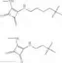 Fig. 167 - COMPOSITIONS AND METHODS FOR DELIVERY OF AGENTS TO IMMUNE CELLS