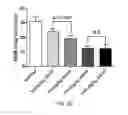 Fig. 06 - Nonracemic mixtures and uses thereof