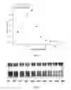 Fig. 11 - Method for extraction of an agent from a plant source