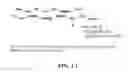 Fig. 02 - Tumor and immune cell imaging based on PD-L1 expression