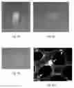 Fig. 02 - Hydrogel precursors having nanoparticles