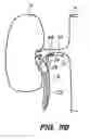 Fig. 09 - SYSTEM AND METHOD FOR ENDOLUMINAL AND TRANSLUMENAL THERAPY