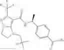 Fig. 320 - EP4 antagonists