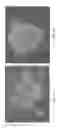 Fig. 08 - Media for culturing stem cells