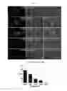 Fig. 02 - METHODS FOR ISOLATING AND CULTURING LIVING CELLS USING METHOD OF PERMEABILIZING CELL MEMBRANE