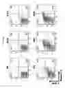 Fig. 06 - METHODS FOR ISOLATING AND CULTURING LIVING CELLS USING METHOD OF PERMEABILIZING CELL MEMBRANE