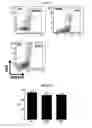 Fig. 09 - METHODS FOR ISOLATING AND CULTURING LIVING CELLS USING METHOD OF PERMEABILIZING CELL MEMBRANE