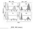 Fig. 49 - Compositions and methods to treating hemoglobinopathies