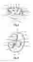 Fig. 03 - Multi-position rotary actuator with clutch