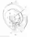 Fig. 02 - Device for adjusting the clearance of a drum brake