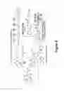 Fig. 14 - Methods and devices for detection of biological materials using electric field assisted rapid analyte capture