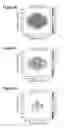 Fig. 06 - Freeform optical structures for direct-lit applications