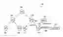 Fig. 01 - Document distribution in a graph database