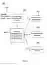 Fig. 05 - System and method for cyber attack detection based on rapid unsupervised recognition of recurring signal patterns
