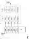 Fig. 04 - Mitigation of return-oriented programming exploits