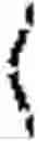 Fig. 02 - Programming model for a bayesian neuromorphic compiler