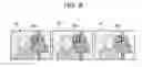Fig. 09 - RECORDING MEDIUM WITH MACHINE LEARNING PROGRAM RECORDED THEREIN, MACHINE LEARNING METHOD, AND INFORMATION PROCESSING APPARATUS