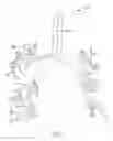 Fig. 09 - Apparatuses and methods for navigation in and local segmentation extension of anatomical treelike structures