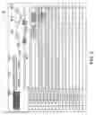 Fig. 06 - Information output device and information output method