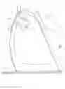 Fig. 03 - Urinating guiding accessory