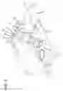 Fig. 06 - BALLISTIC DEVICE AS A TEACHING TOOL