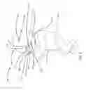 Fig. 03 - Breastfeeding simulation system