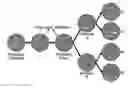 Fig. 01 - METHOD AND APPARATUS FOR IMPROVED DETERMINATION OF NODE INFLUENCE IN A NETWORK