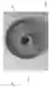 Fig. 08 - APPARATUS FOR REMOVING AND INSTALLING ELEVATED LIGHT BULBS