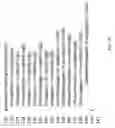 Fig. 17 - Communication system and method of gaffe prevention
