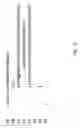Fig. 23 - Communication system and method of gaffe prevention