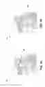 Fig. 02 - Encoding cost aware edge selection for improved progressive mesh compression