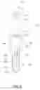 Fig. 07 - Drill for dental implant