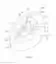 Fig. 06 - Method for manipulating a dental virtual model, method for creating physical entities based on a dental virtual model thus manipulated, and dental models thus created