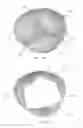 Fig. 09 - FLEXIBLE HEART VALVE PROSTHESIS