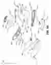 Fig. 03 - Personal massager with undulating arm