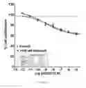 Fig. 09 - METHODS OF TREATING PAH WITH COMBINATIONS OF RALINEPAG AND OTHER AGENTS