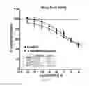 Fig. 28 - METHODS OF TREATING PAH WITH COMBINATIONS OF RALINEPAG AND OTHER AGENTS