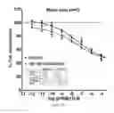 Fig. 40 - METHODS OF TREATING PAH WITH COMBINATIONS OF RALINEPAG AND OTHER AGENTS