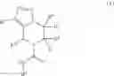 Fig. 22 - Hepatitis B antiviral agents