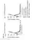 Fig. 07 - T cell receptors and engineered cells expressing same