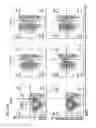 Fig. 09 - T cell receptors and engineered cells expressing same
