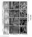 Fig. 06 - Methods and compositions for modulating myofibroblast activities
