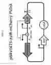Fig. 02 - Selectively altering microbiota for immune modulation